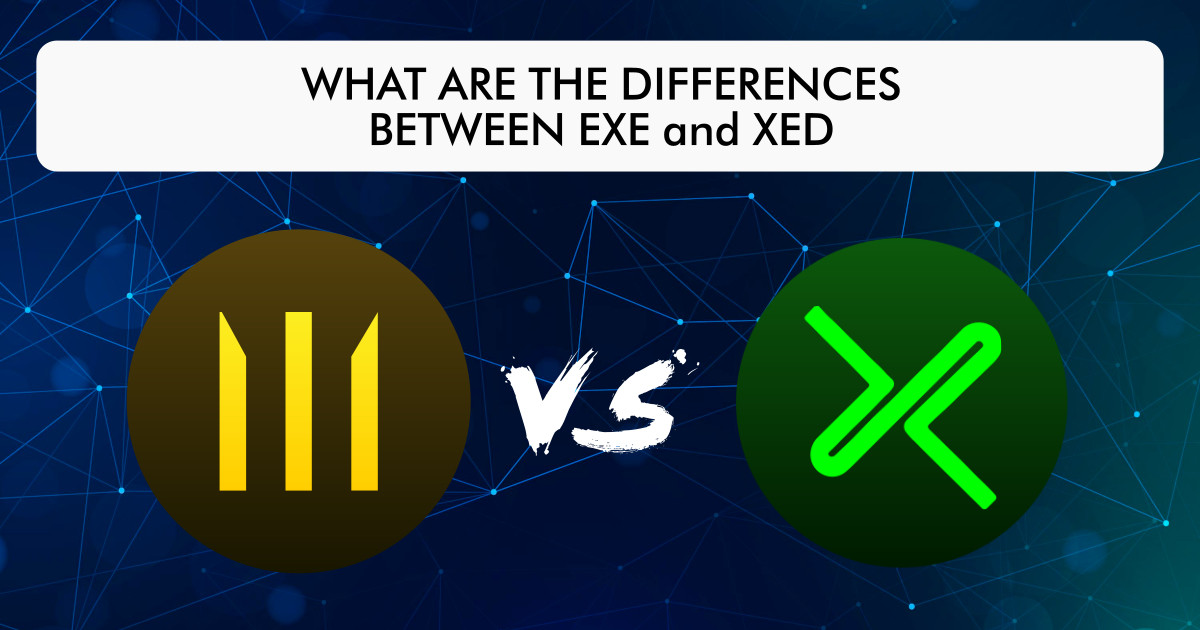 EXE vs XED